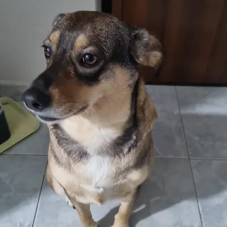 Проживание в семье Da Caterina *