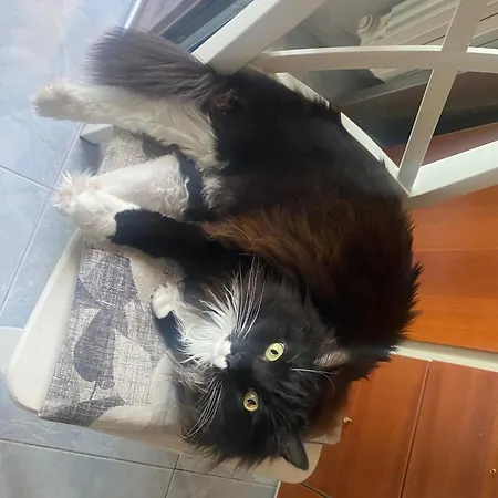 Da Caterina * Терамо