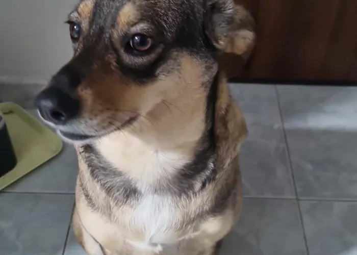 Alloggio in famiglia Da Caterina *