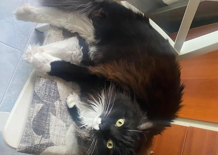 Da Caterina * Teramo